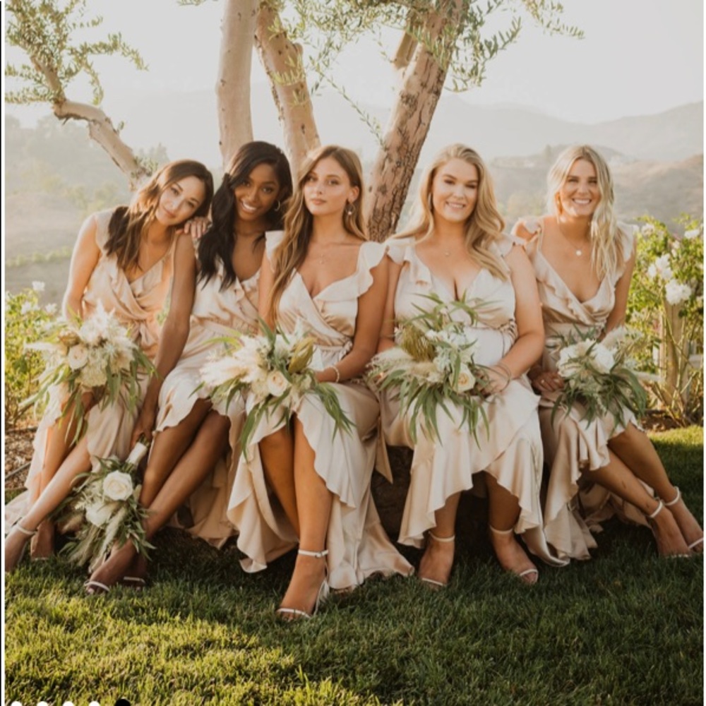 Show Me Your Mumu Samantha Ruffle Wrap Dress